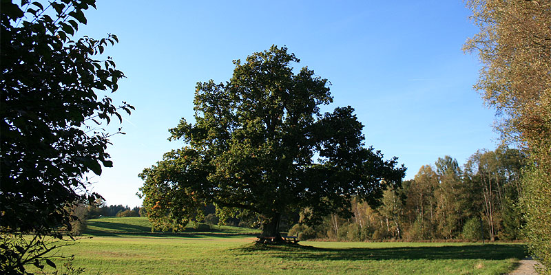 Stacks Image 147